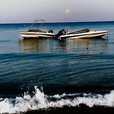 Bali 101 Larnaca