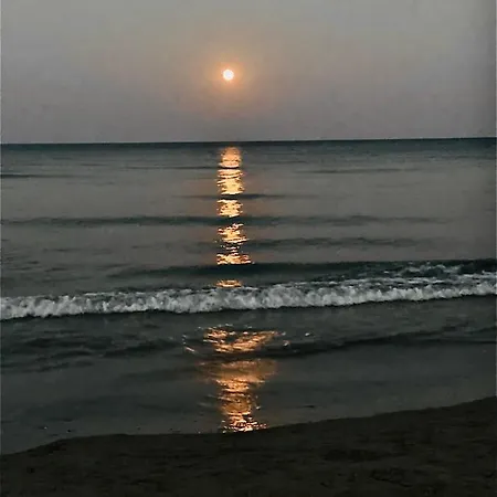 Bali 101 *
